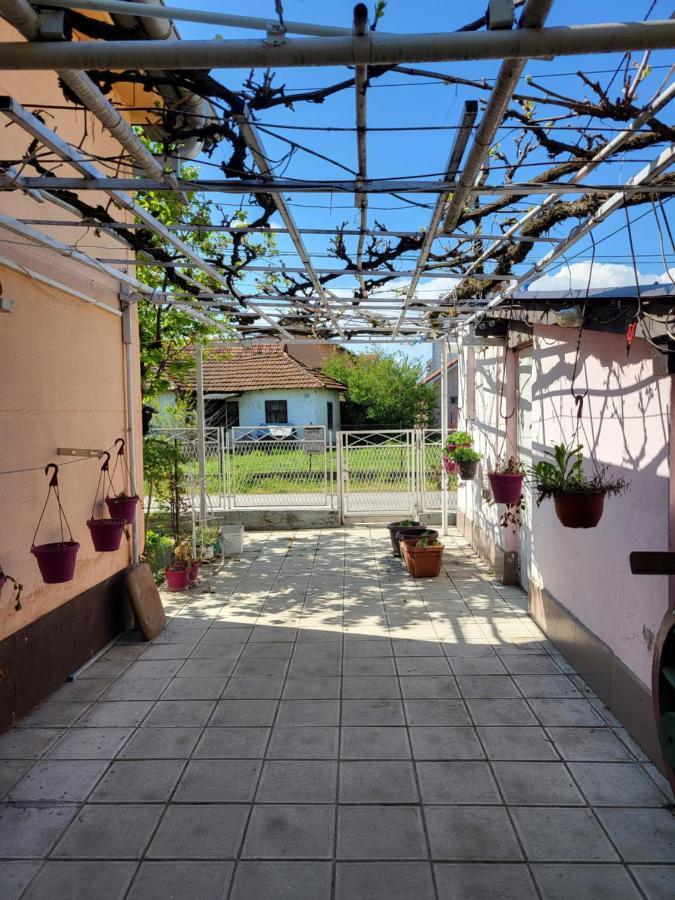 Kaza apartment Kladovo Dış mekan fotoğraf